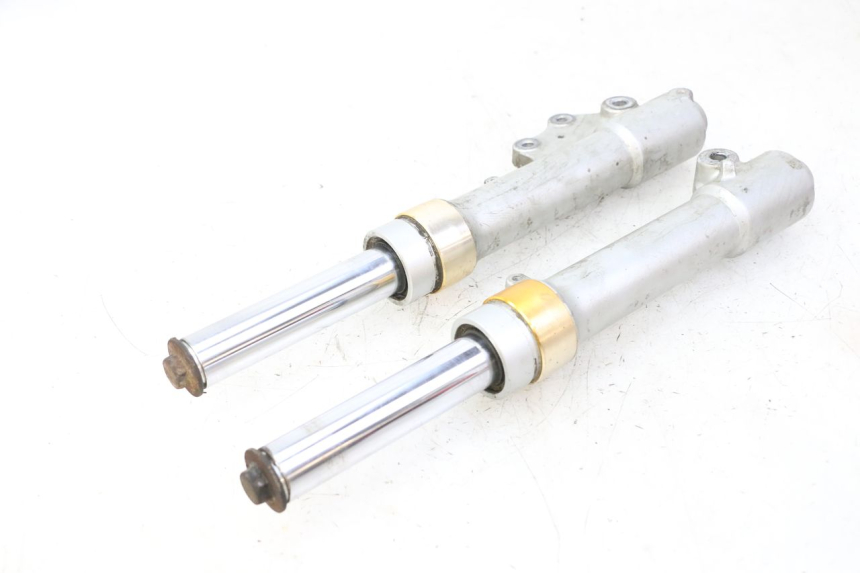 photo de STELO FORCELLA YAMAHA BW'S 100 (1999 - 2002)