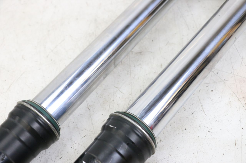 photo de STELO FORCELLA HONDA CRF R 250 (2020 - 2021)