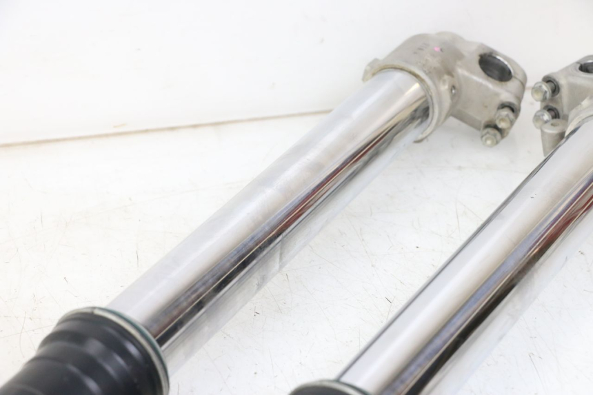 photo de STELO FORCELLA HONDA CRF R 250 (2020 - 2021)