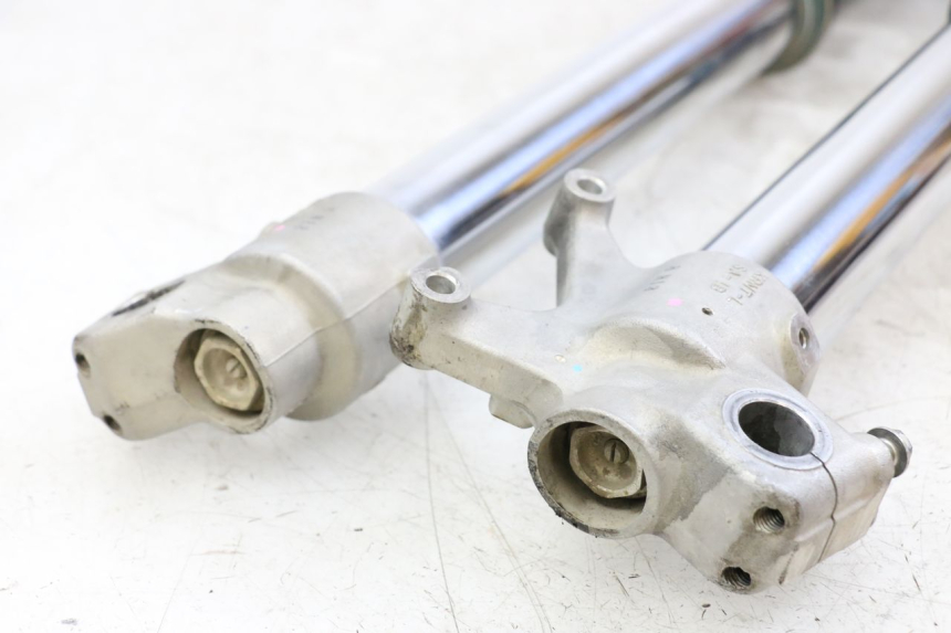 photo de STELO FORCELLA HONDA CRF R 250 (2020 - 2021)