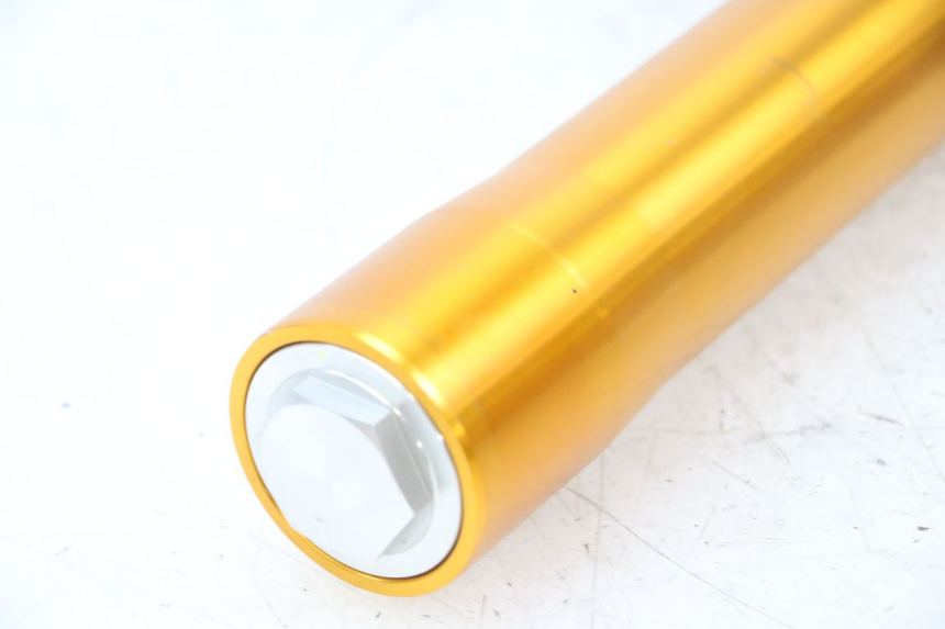 photo de STELO FORCELLA DESTRA RIEJU MRT 50 (2018 - 2021)