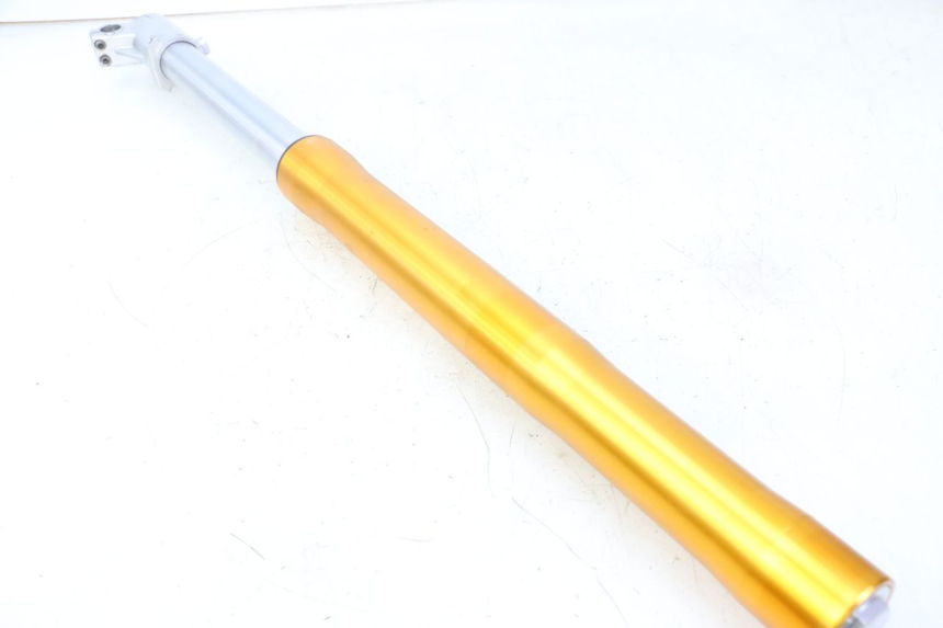 photo de STELO FORCELLA DESTRA RIEJU MRT 50 (2018 - 2021)