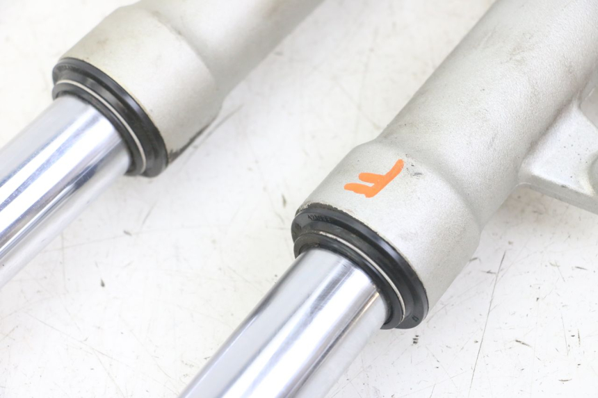 photo de STELO FORCELLA PEUGEOT ELYSEO 125 (1999 - 2004)