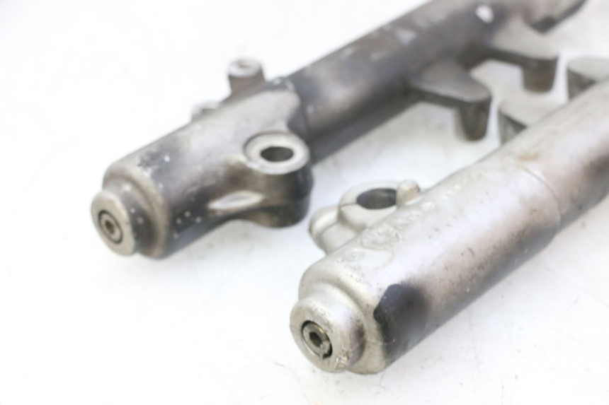 photo de STELO FORCELLA PEUGEOT ELYSTAR 50 (2002 - 2014)