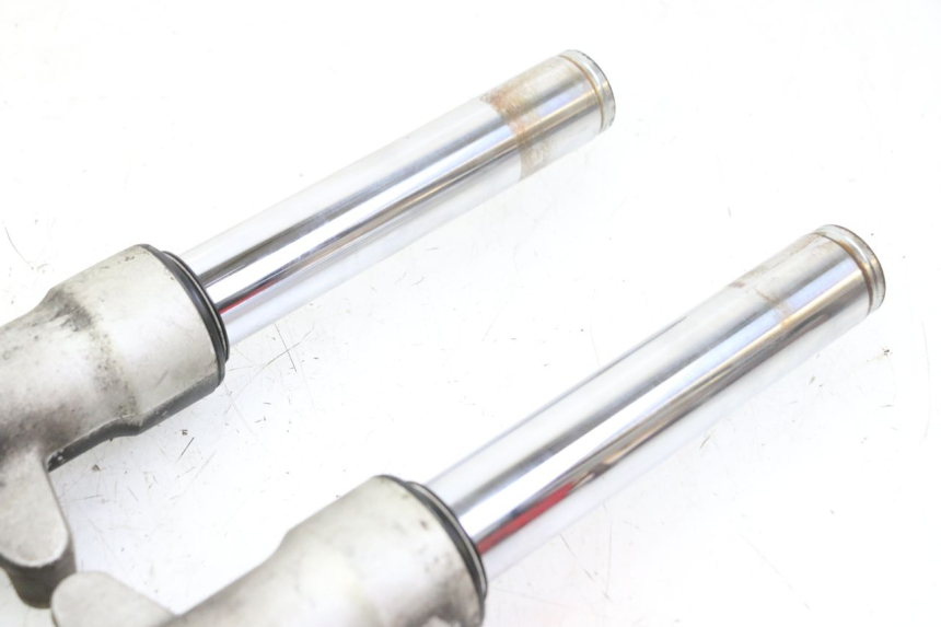 photo de STELO FORCELLA PEUGEOT ELYSTAR 50 (2002 - 2014)