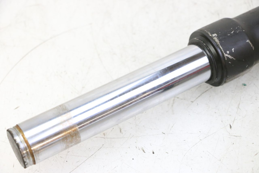 photo de STELO FORCELLA PEUGEOT ELYSTAR 50 (2002 - 2014)