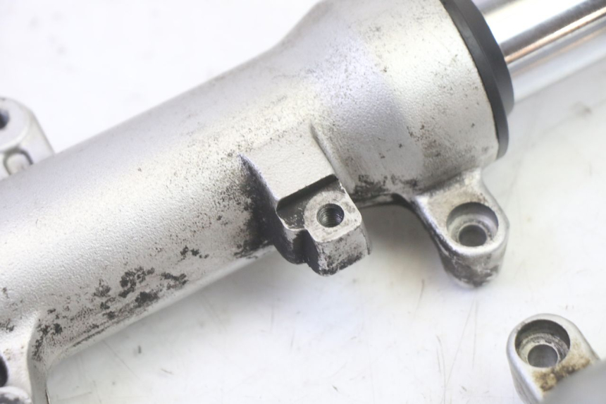 photo de STELO FORCELLA HONDA FES S-WING SWING ABS 125 (2007 - 2015)