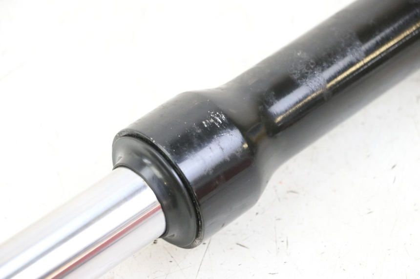 photo de STELO FORCELLA SINISTRA PEUGEOT TWEET 4T 50 (2023 - 2025)
