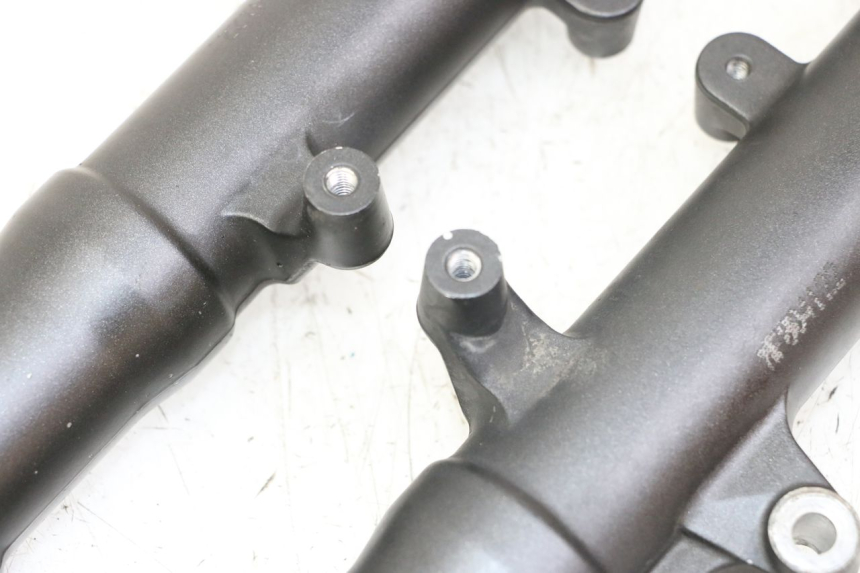 photo de STELO FORCELLA HONDA FORZA 125 (2021 - 2025)