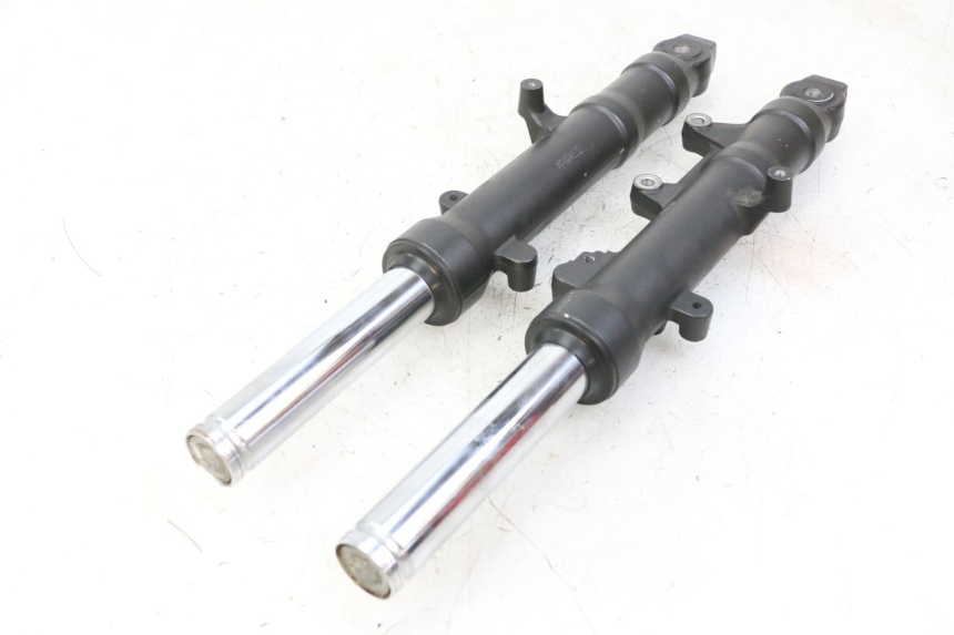 photo de STELO FORCELLA HONDA FORZA 125 (2021 - 2025)