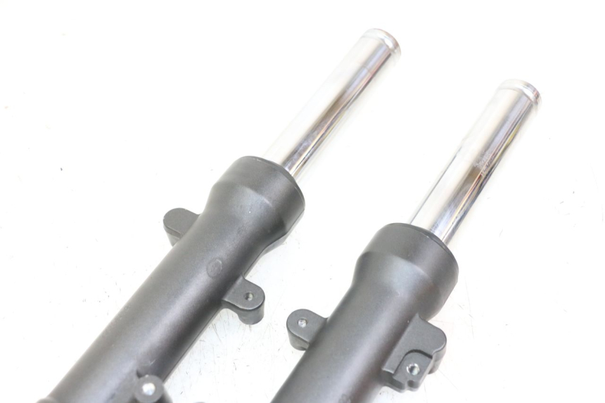photo de STELO FORCELLA HONDA FORZA 125 (2021 - 2025)