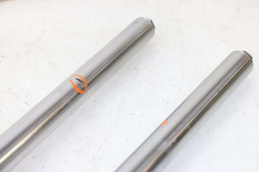 photo de STELO FORCELLA KAWASAKI KX 65 (2000 - 2019)