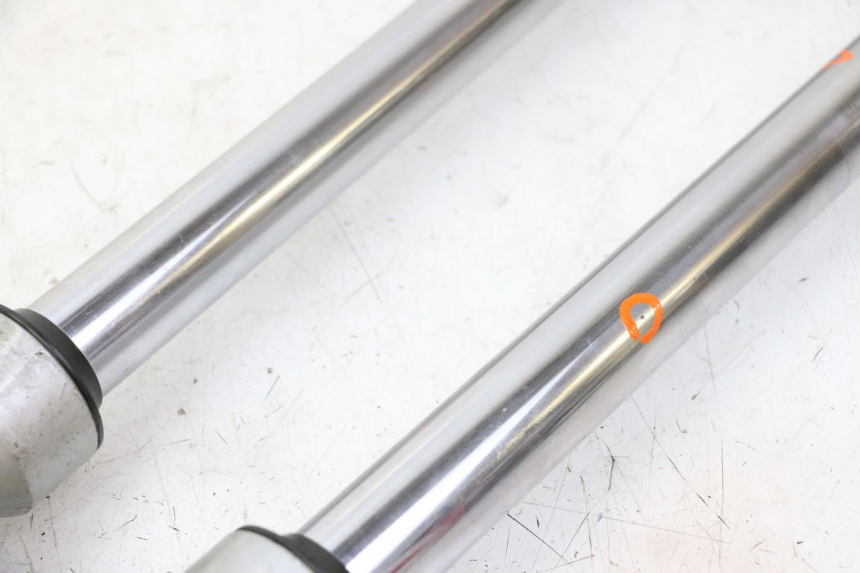 photo de STELO FORCELLA KAWASAKI KX 65 (2000 - 2019)