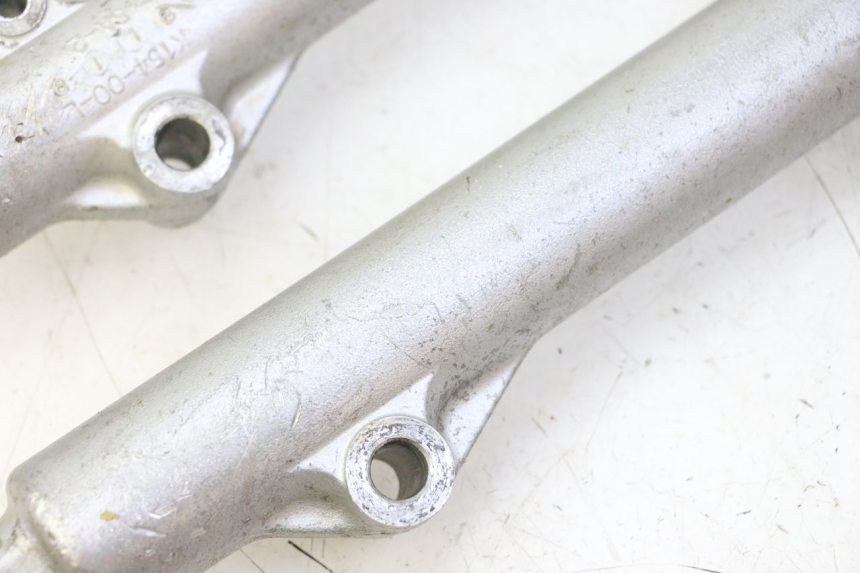 photo de STELO FORCELLA KAWASAKI KX 65 (2000 - 2019)