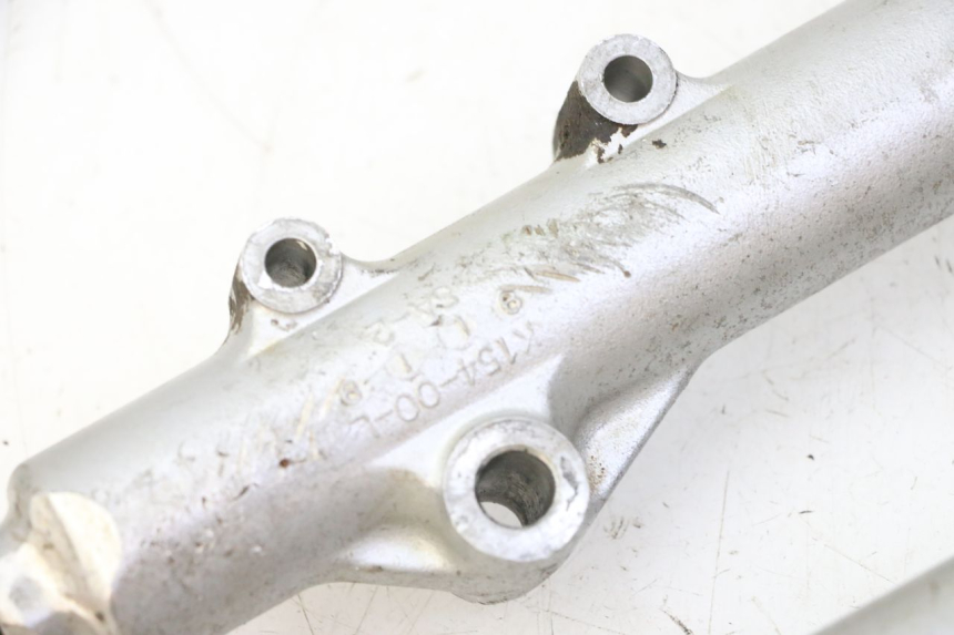 photo de STELO FORCELLA KAWASAKI KX 65 (2000 - 2019)