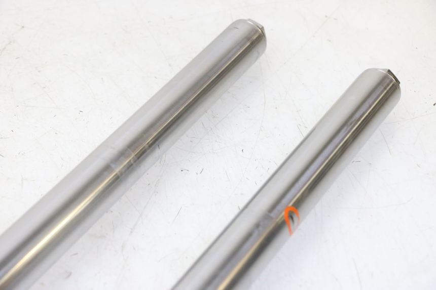 photo de STELO FORCELLA KAWASAKI KX 65 (2000 - 2019)