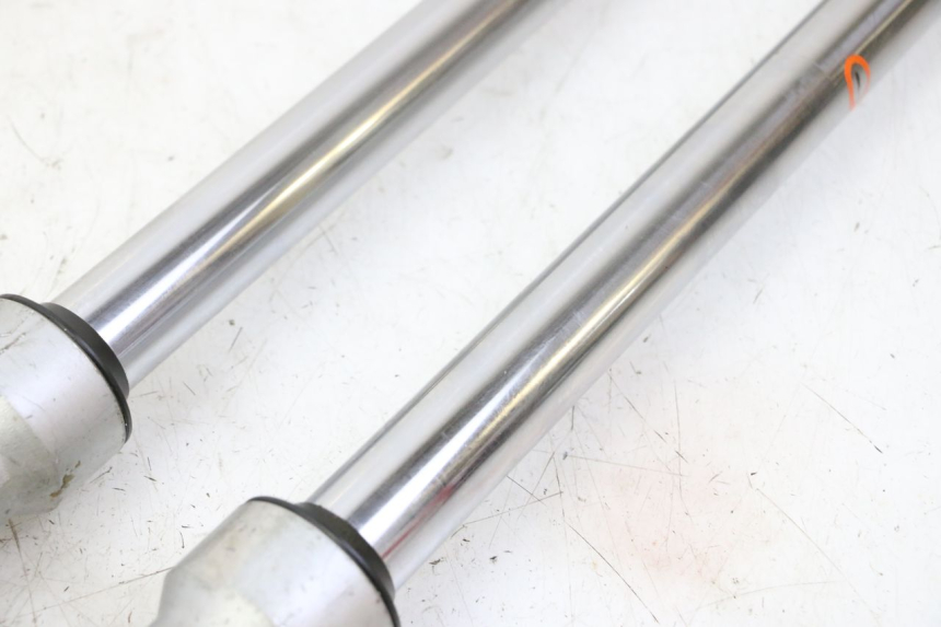 photo de STELO FORCELLA KAWASAKI KX 65 (2000 - 2019)