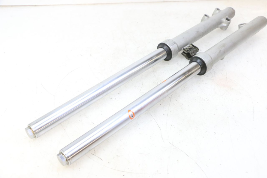 photo de STELO FORCELLA KAWASAKI KX 65 (2000 - 2019)