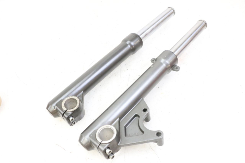 photo de STELO FORCELLA LIGIER PULSE 3 1 (2014 - 2020)