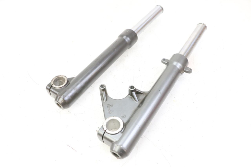 photo de STELO FORCELLA LIGIER PULSE 3 1 (2014 - 2020)