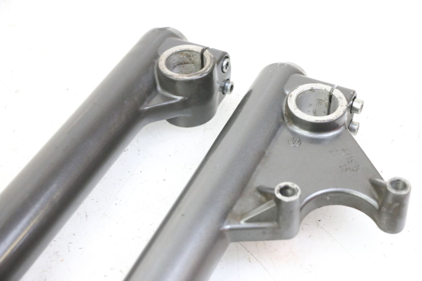 photo de STELO FORCELLA LIGIER PULSE 3 1 (2014 - 2020)