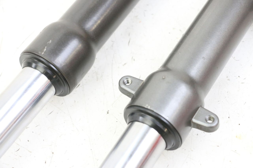 photo de STELO FORCELLA LIGIER PULSE 3 1 (2014 - 2020)