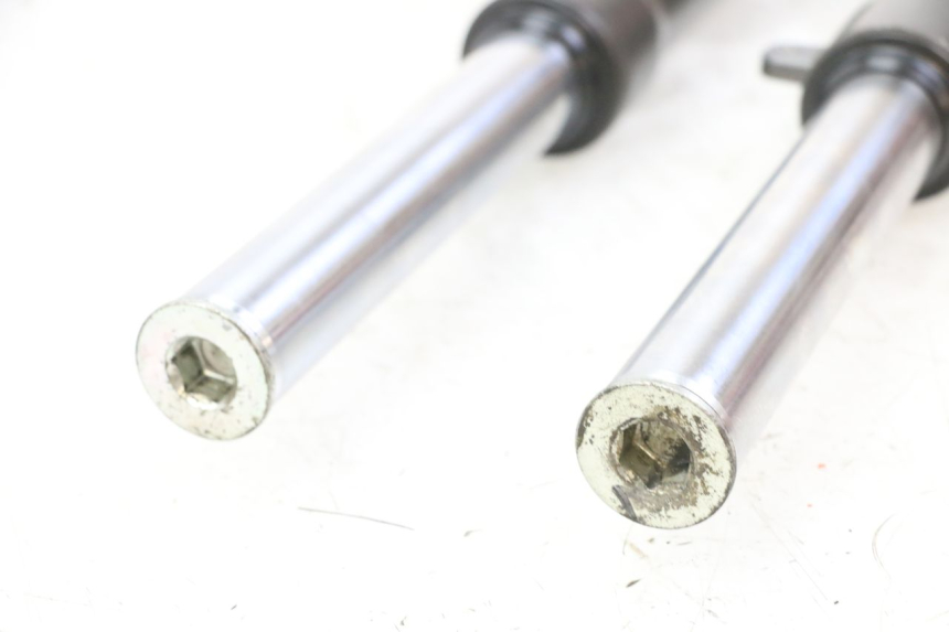 photo de STELO FORCELLA LIGIER PULSE 3 1 (2014 - 2020)