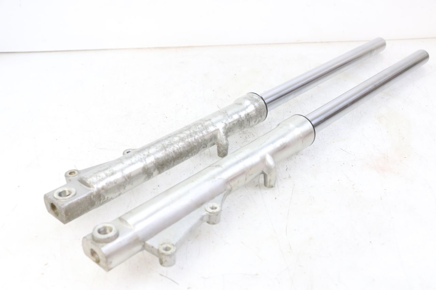 photo de STELO FORCELLA REGAL RAPTOR RAXTER 2 125 (2007 - 2015) - Vista principale