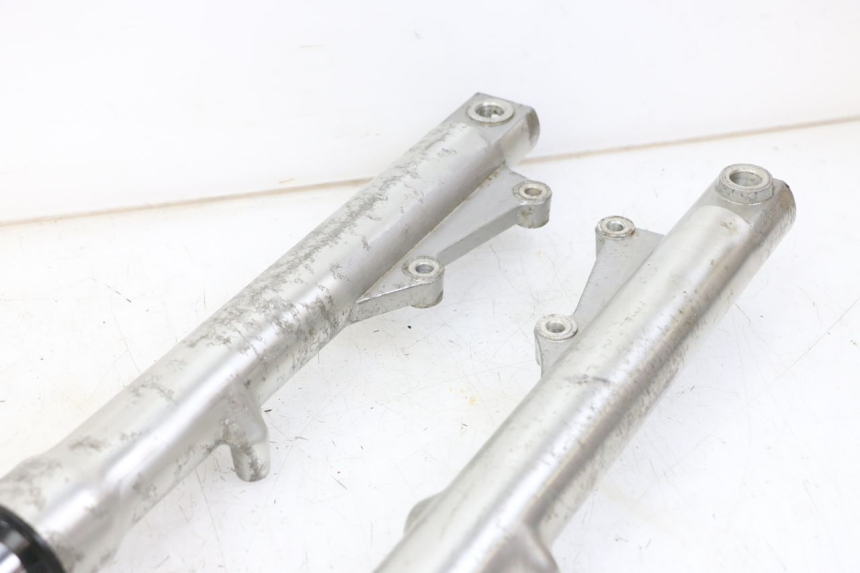 photo de STELO FORCELLA REGAL RAPTOR RAXTER 2 125 (2007 - 2015) - Vista d'insieme del prodotto