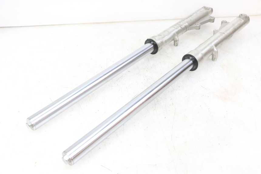 photo de STELO FORCELLA REGAL RAPTOR RAXTER 2 125 (2007 - 2015) - Stato della superficie e materiale