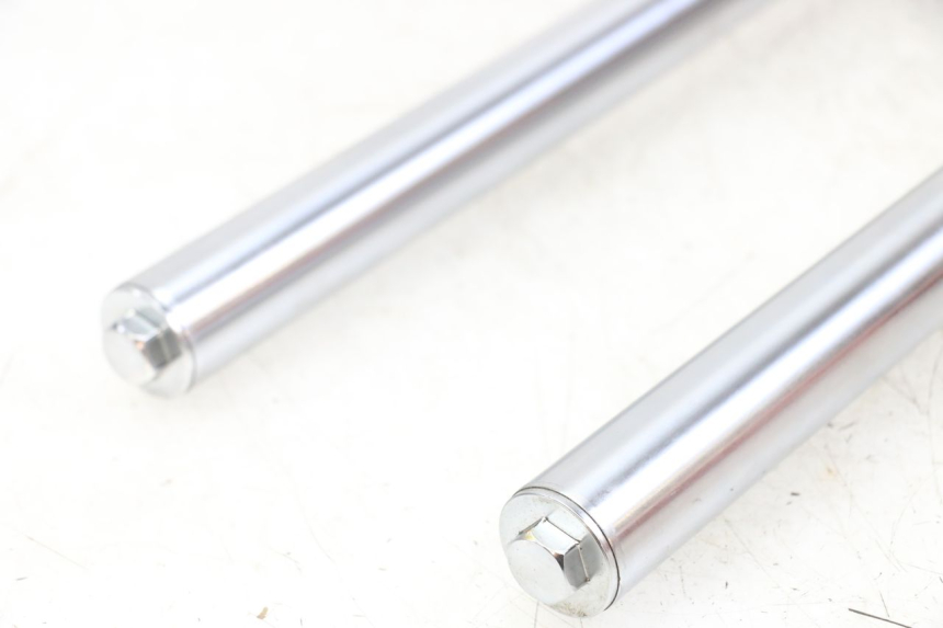 photo de STELO FORCELLA REGAL RAPTOR RAXTER 2 125 (2007 - 2015) - Ricambio usato controllato