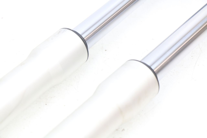 photo de STELO FORCELLA APOLLO RFZ 125