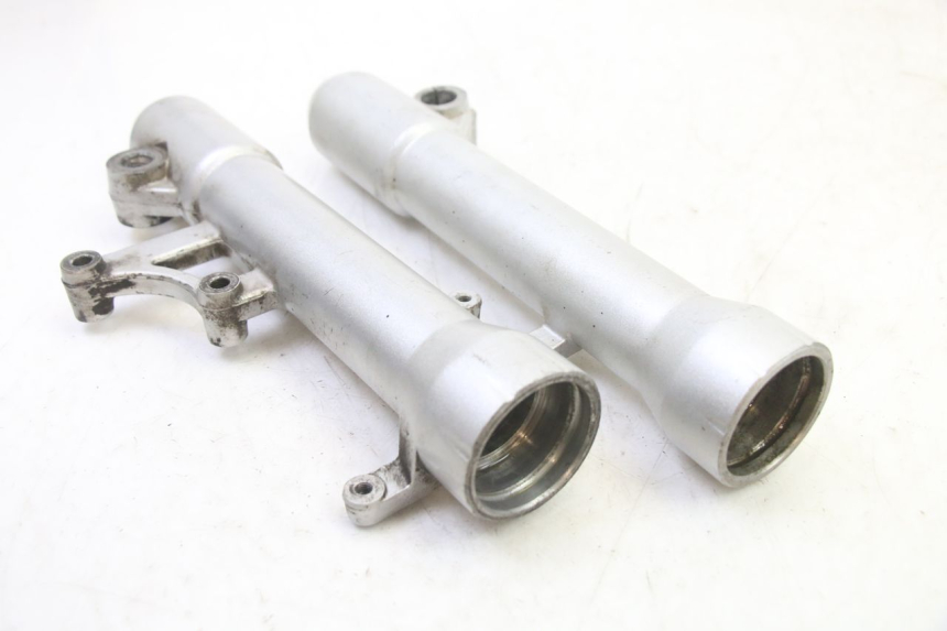 photo de STELO FORCELLA PEUGEOT SATELIS 250 (2006 - 2012)