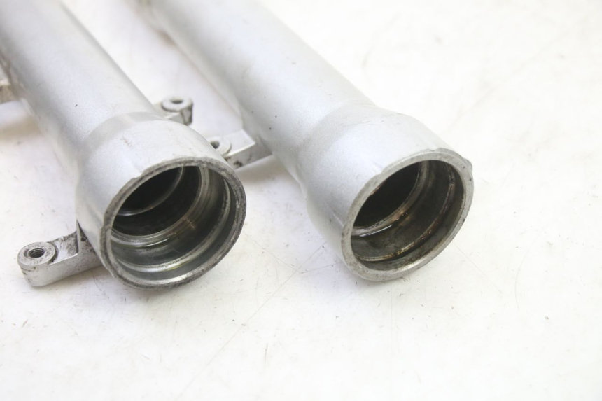 photo de STELO FORCELLA PEUGEOT SATELIS 250 (2006 - 2012)