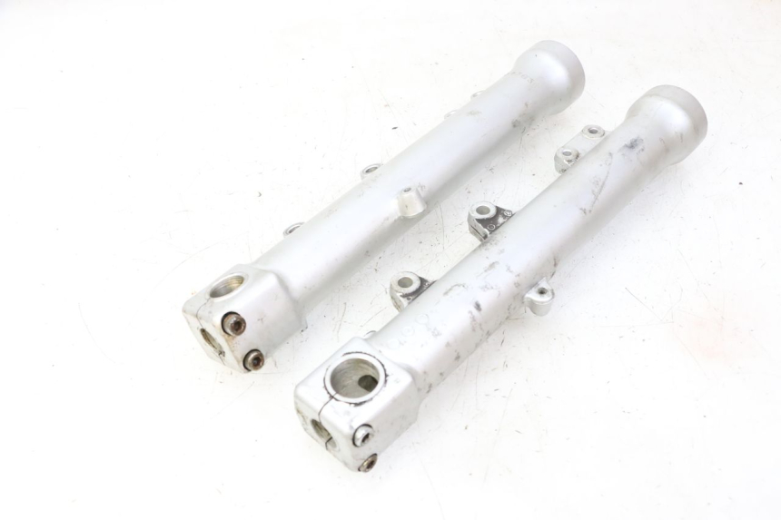 photo de STELO FORCELLA TRIUMPH SPRINT 900 (1995 - 1998)