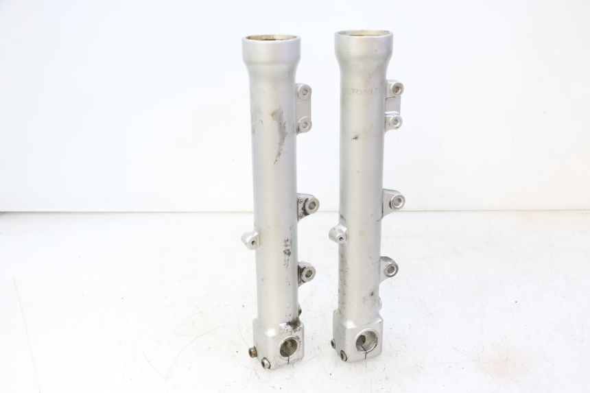 photo de STELO FORCELLA TRIUMPH SPRINT 900 (1995 - 1998)