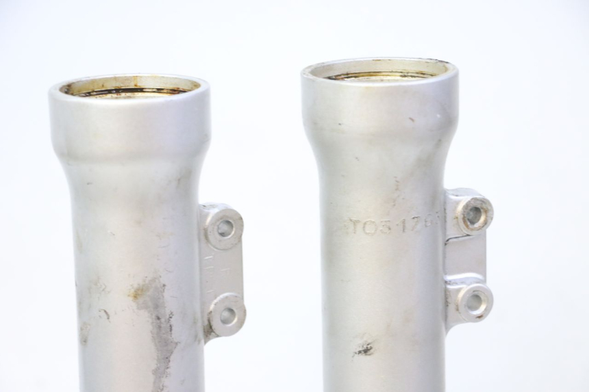 photo de STELO FORCELLA TRIUMPH SPRINT 900 (1995 - 1998)