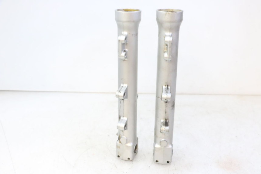photo de STELO FORCELLA TRIUMPH SPRINT 900 (1995 - 1998)