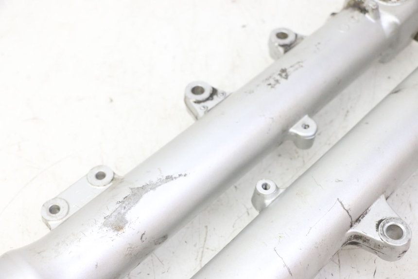 photo de STELO FORCELLA TRIUMPH SPRINT 900 (1995 - 1998)