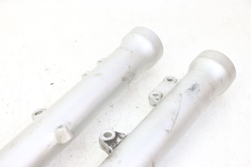 photo de STELO FORCELLA TRIUMPH SPRINT 900 (1995 - 1998)
