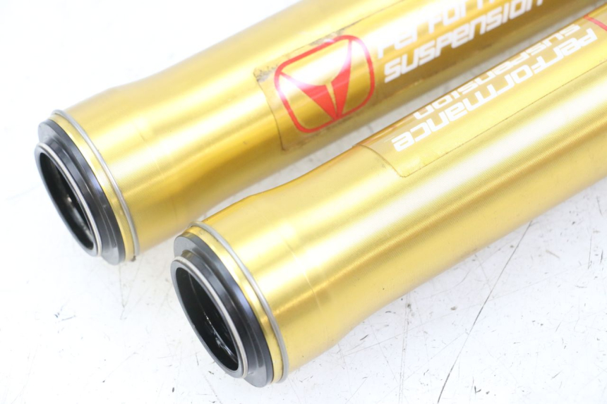 photo de STELO FORCELLA VENT DERAPAGE 50 (2018 - 2023)