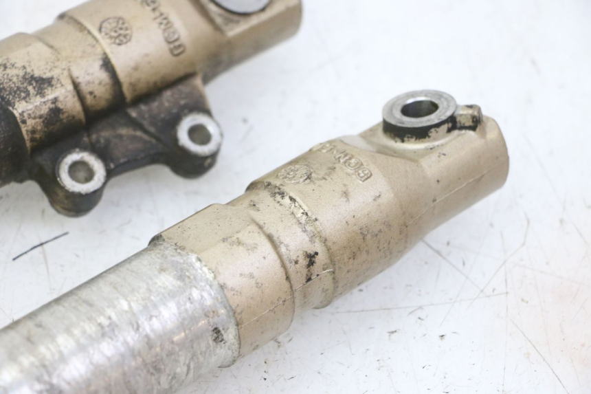 photo de STELO FORCELLA HONDA X8R 50 (1998 - 2003)