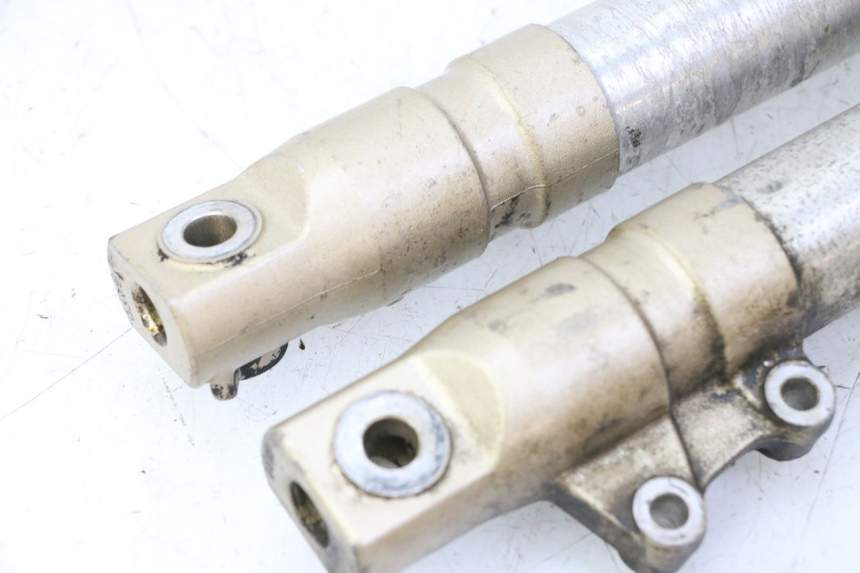 photo de STELO FORCELLA HONDA X8R 50 (1998 - 2003)