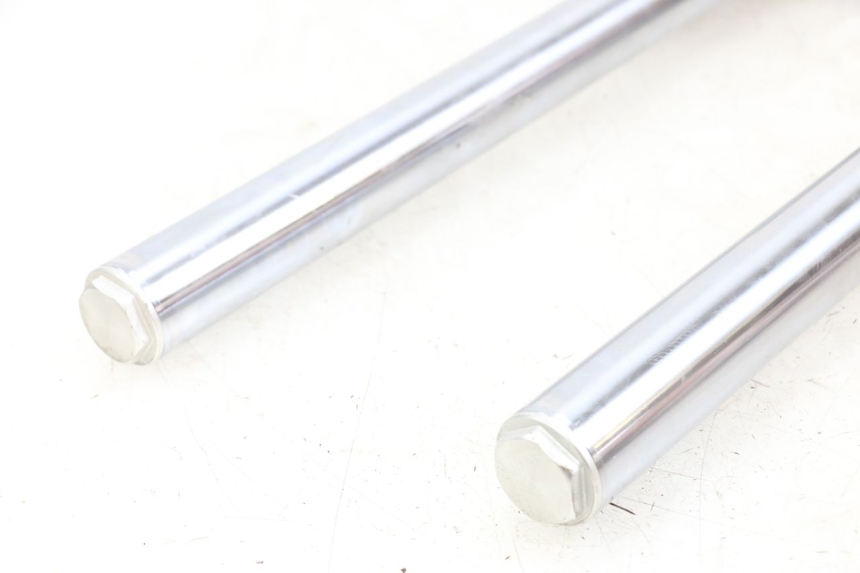 photo de STELO FORCELLA KYMCO XCITING 250 (2006 - 2009)