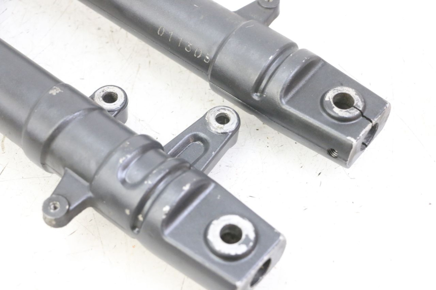 photo de STELO FORCELLA YAMAHA TZR 50 (2008 - 2016)