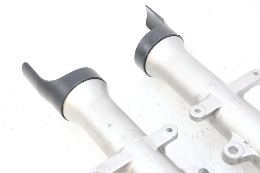 photo de STELO FORCELLA YAMAHA XJ6 ABS 600 (2008 - 2016)