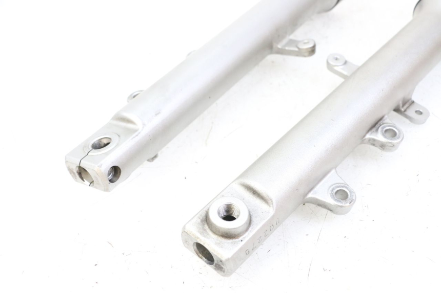 photo de STELO FORCELLA YAMAHA XJ6 ABS 600 (2008 - 2016)