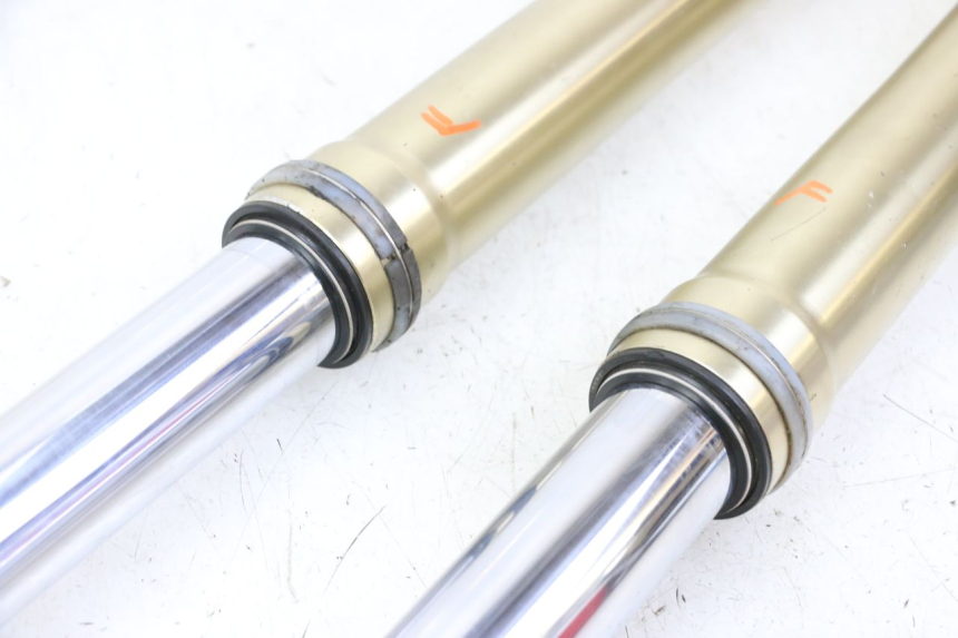 photo de STELO FORCELLA YAMAHA YZ 125 (2006 - 2016)