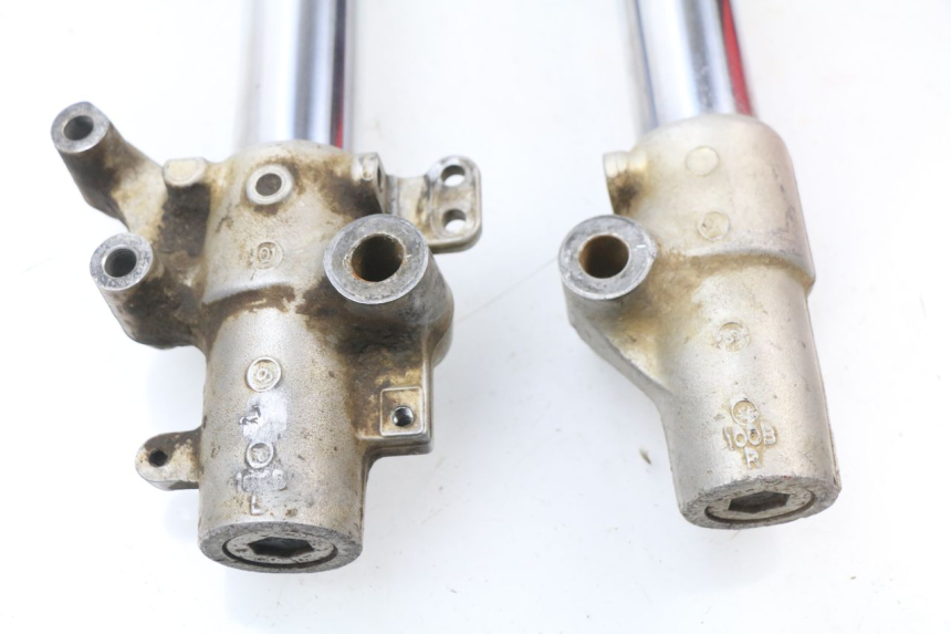 photo de STELO FORCELLA YAMAHA YZ 80 (1998 - 2001)