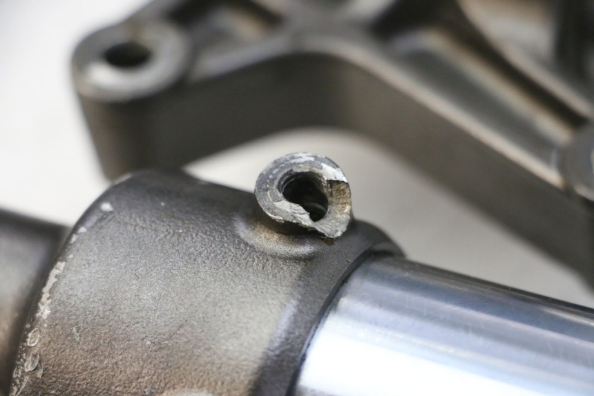 photo de STELO FORCELLA YAMAHA YZ-F YZF 250 (2014 - 2018)